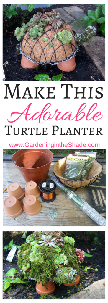 See how easy it is to make this turtle succulent planter for your garden! DIY Garden Crafts